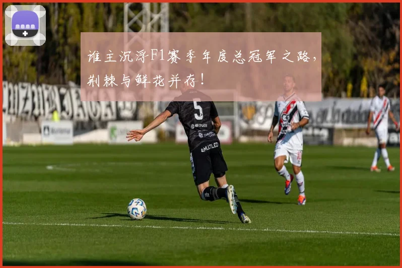 谁主沉浮F1赛季年度总冠军之路，荆棘与鲜花并存！