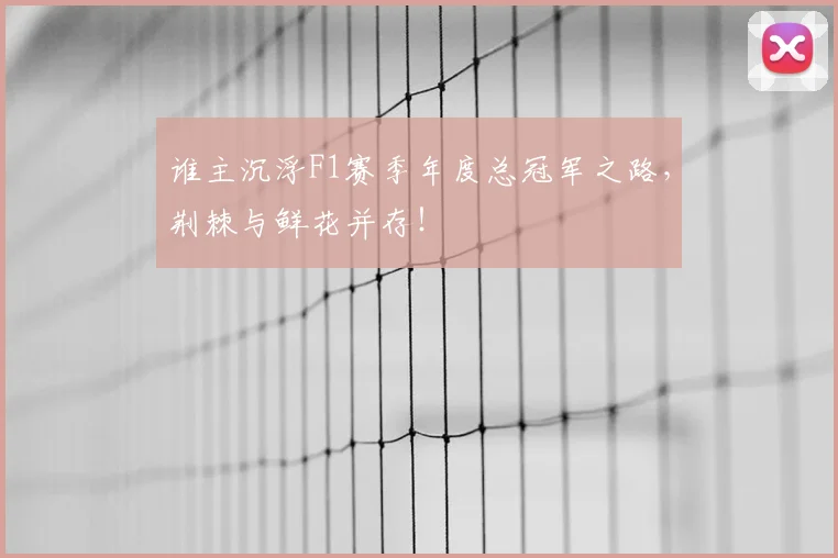谁主沉浮F1赛季年度总冠军之路，荆棘与鲜花并存！