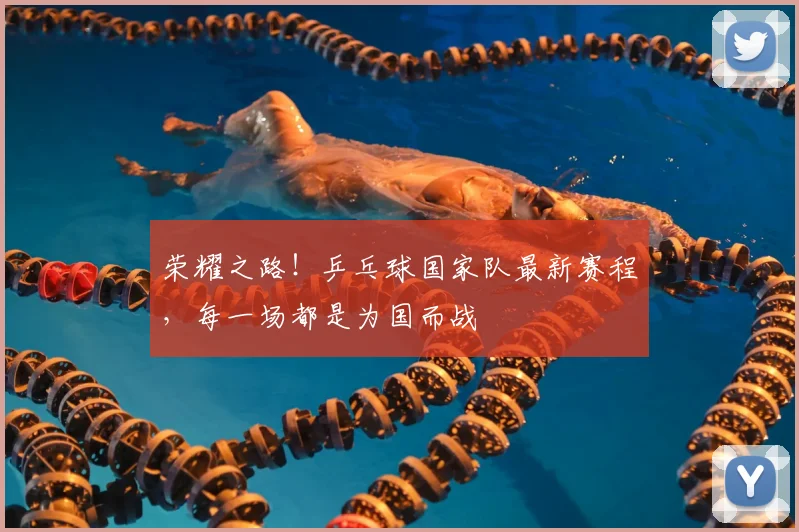 荣耀之路！乒乓球国家队最新赛程，每一场都是为国而战